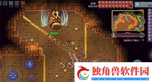泰拉瑞亚蜂王宝藏袋掉落物汇总