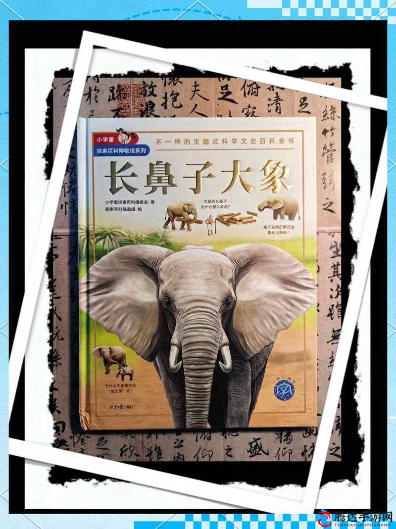 x7x7 任意噪入口直达大象:开启奇妙探索之旅