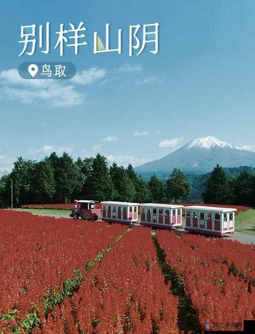黄色 xxx :探索其独特魅力与深远影响的精彩之旅
