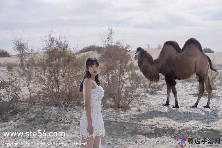 越南女raPPerdiss 展现独特音乐风格与舞台魅力之路