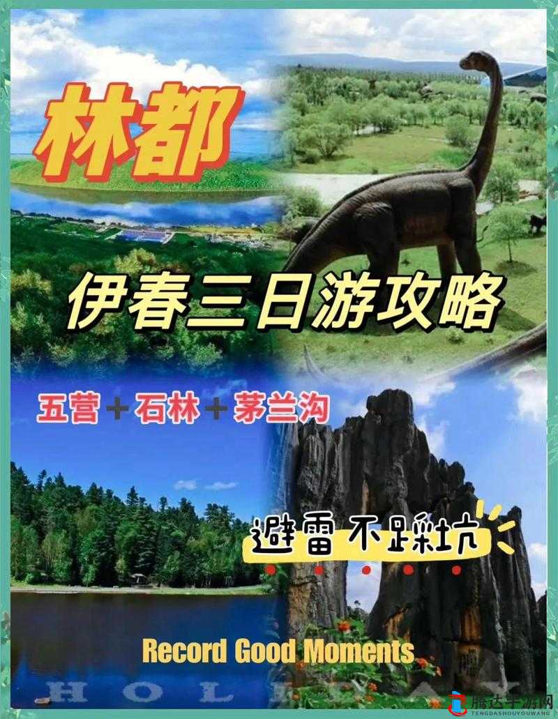 伊春园 2022 直达进入:探索未知的奇妙之旅