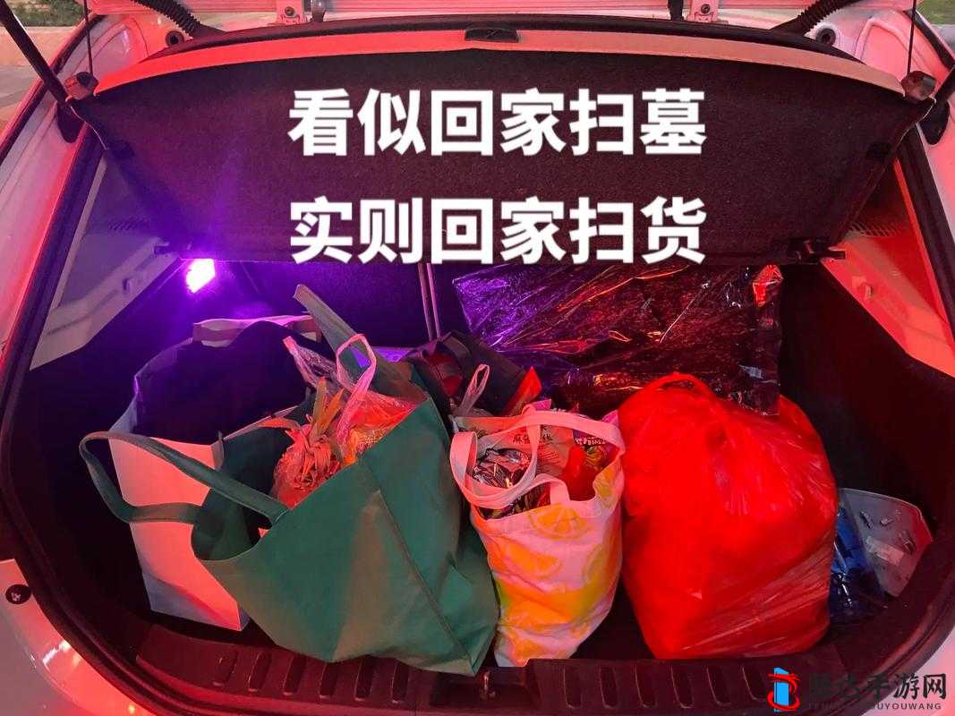 小扫货水能么多叫出来公交车:探索其背后的奇特现象