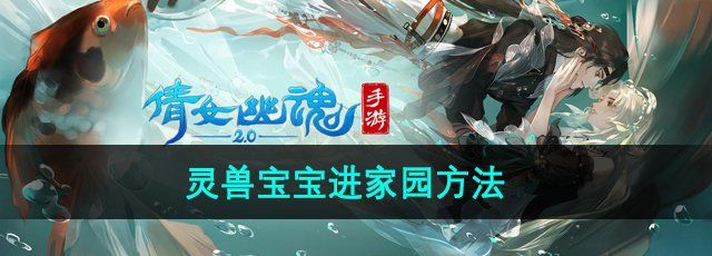 倩女幽魂灵兽宝宝进家园怎么弄-灵兽宝宝进家园方法