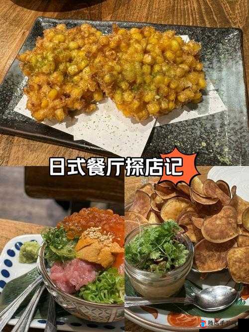 烹调上菜美味3，深入探索油炸食品的独特风味与奇妙制作之旅