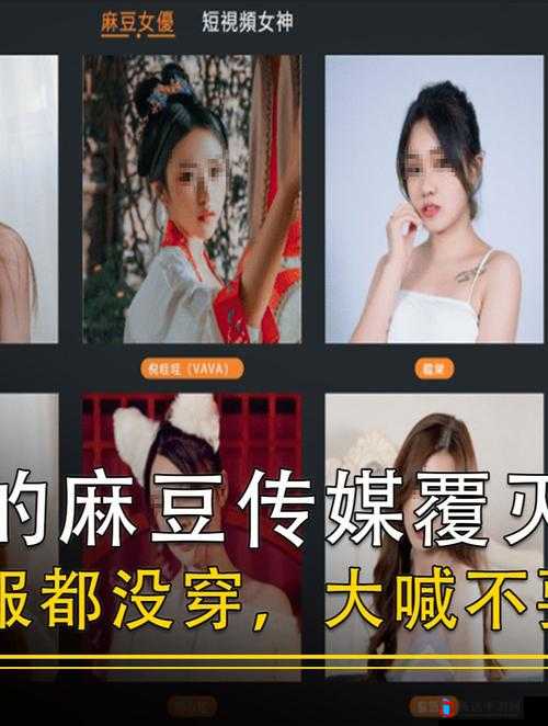 蔴荳传禖免费:畅享精彩免费内容盛宴