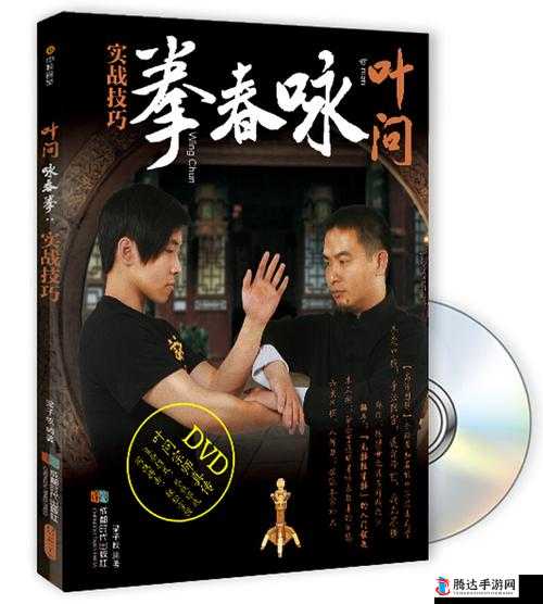 紫塞秋风咏春拳秘籍获得方法介绍