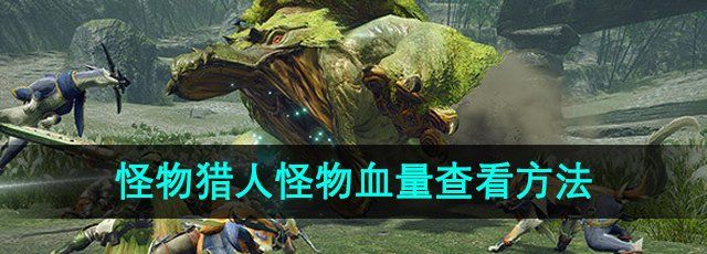 怪物猎人怎么看怪物血量-怪物血量查看方法