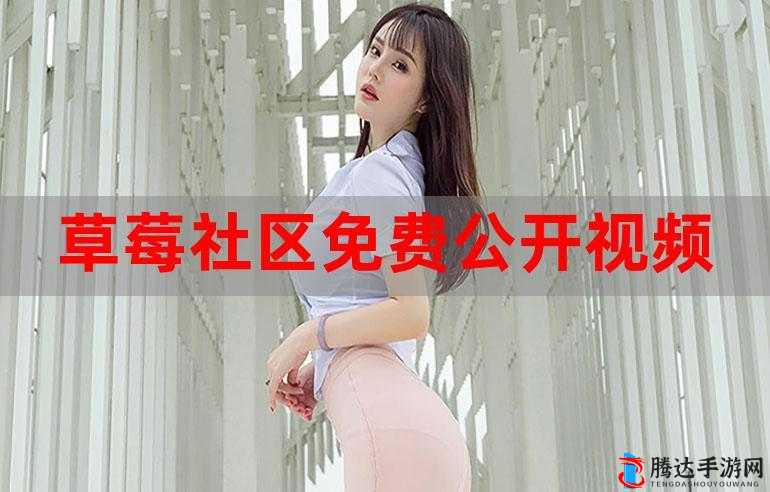 私密浏览器看片大全免费直播主播专属谁说的之详细解析与探讨