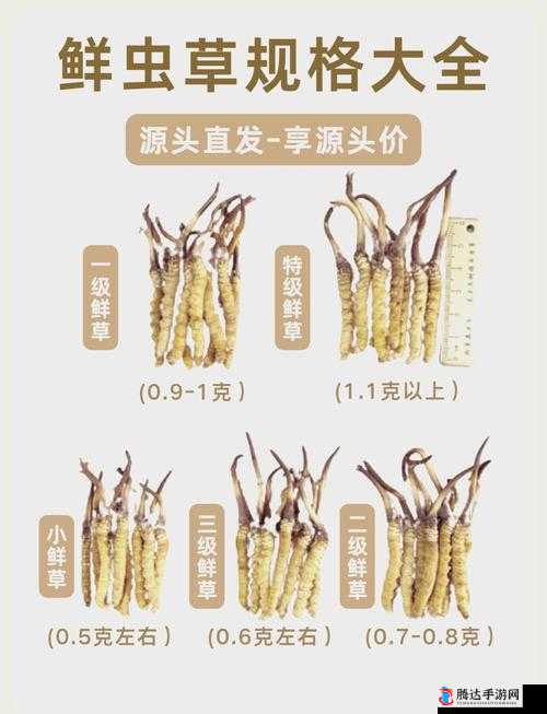 探索老牛嫩草一二三产品区别之深入分析与详细对比