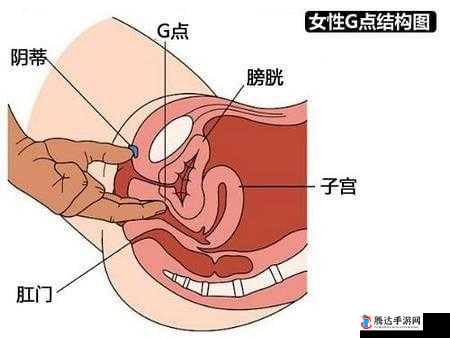 老女人私密部位大揭秘:扒开 p 大荫蒂的惊人真相
