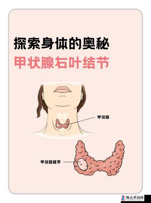以变长变大变粗的手法为核心,探索 XX 的奥秘