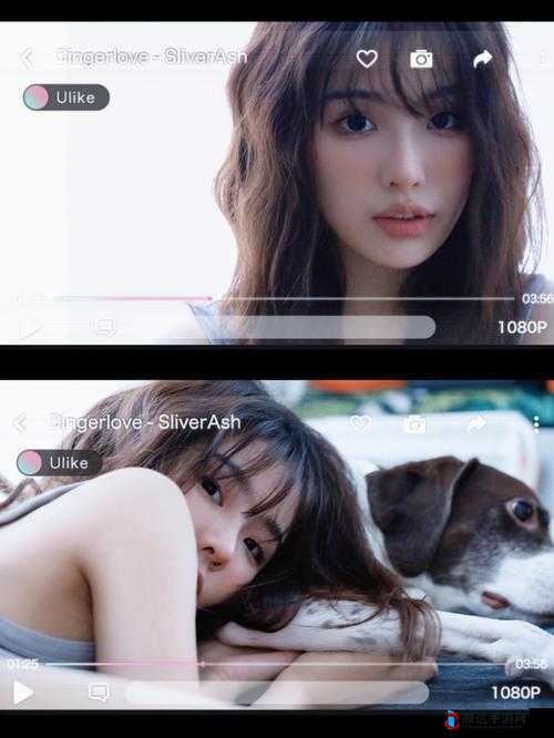 欧美日韩最火 MV 资源流出:平台引发热议