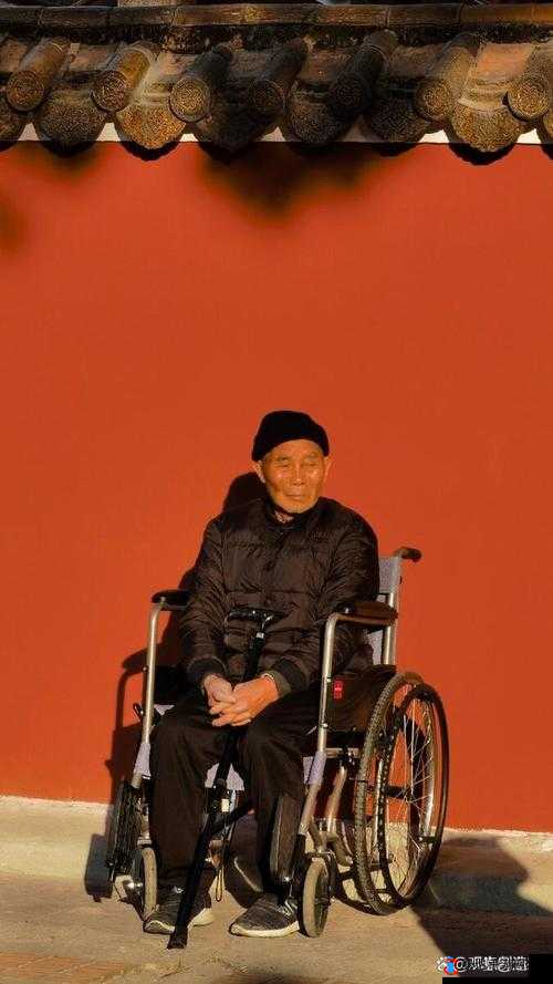 82 岁老人找 20 多岁小伙子:年龄跨度如此之大究竟为何
