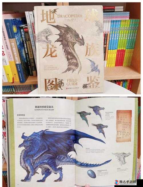 三叶草 gw4334:带你探索未知的世界