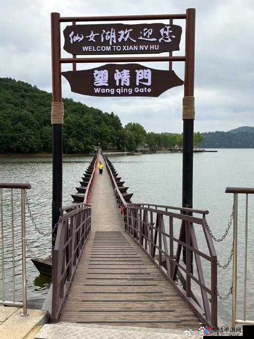 爱情岛独家论坛:浪漫心灵交汇的温馨家园