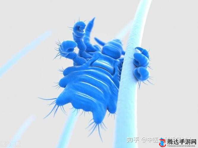 女人毛太多进不去:这是病吗?