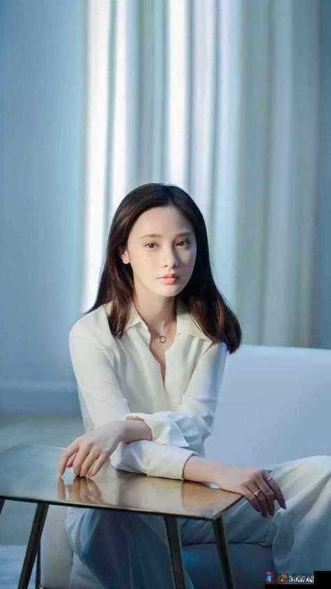 老周张琳公交车分类完善成为一匹黑马之崛起背后的故事