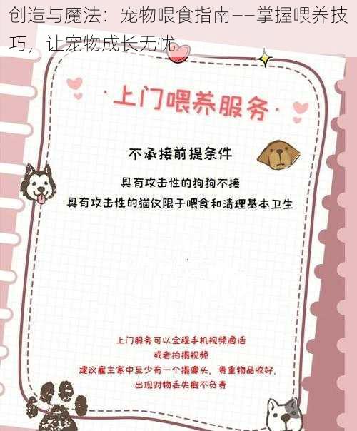 创造与魔法:宠物喂食指南——掌握喂养技巧,让宠物成长无忧