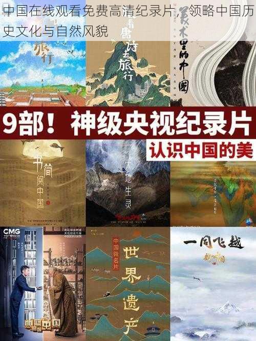 中国在线观看免费高清纪录片,领略中国历史文化与自然风貌