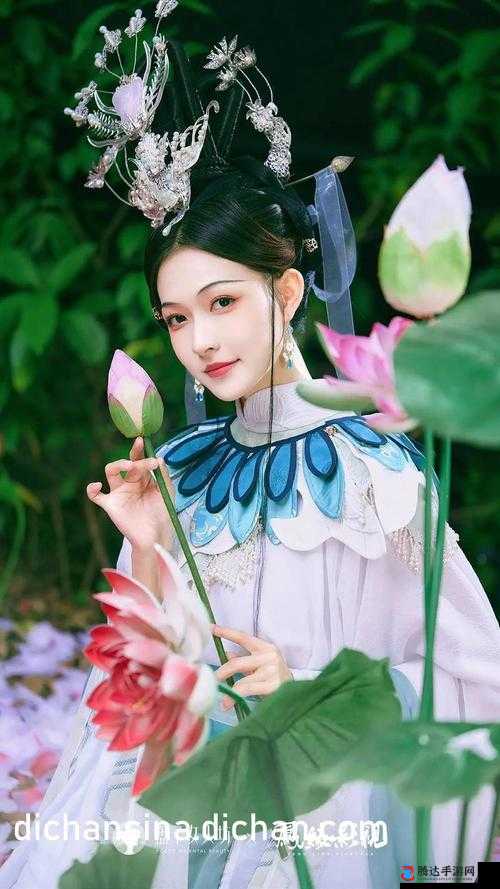 今天免费视频在线观看-涵盖各类精彩内容等你畅享