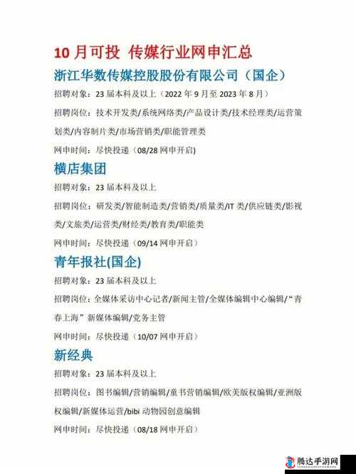 麻花传媒 CEO 带领团队创造辉煌业绩推动行业发展