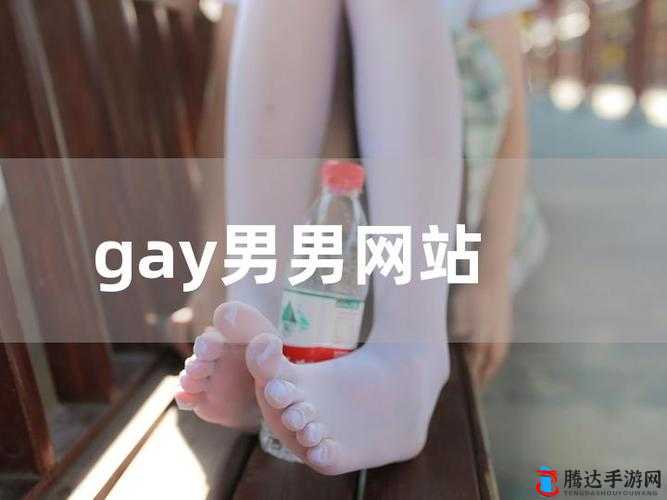 国产男男 GayGay 免费网站:满足你的所有幻想