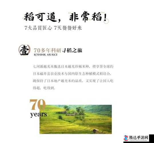 国精产品久精国精产拍 999:匠心打造的精品之作
