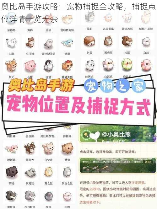奥比岛手游攻略:宠物捕捉全攻略,捕捉点位详情一览无余