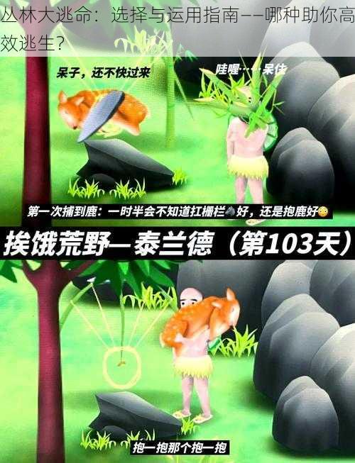 丛林大逃命：选择与运用指南——哪种助你高效逃生？