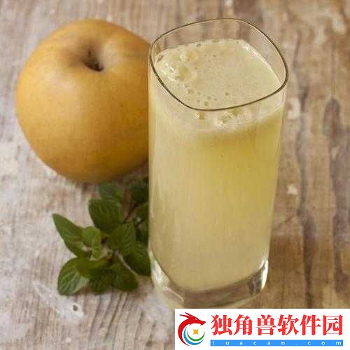 梨汁气泡-11H：清新爽口的饮品