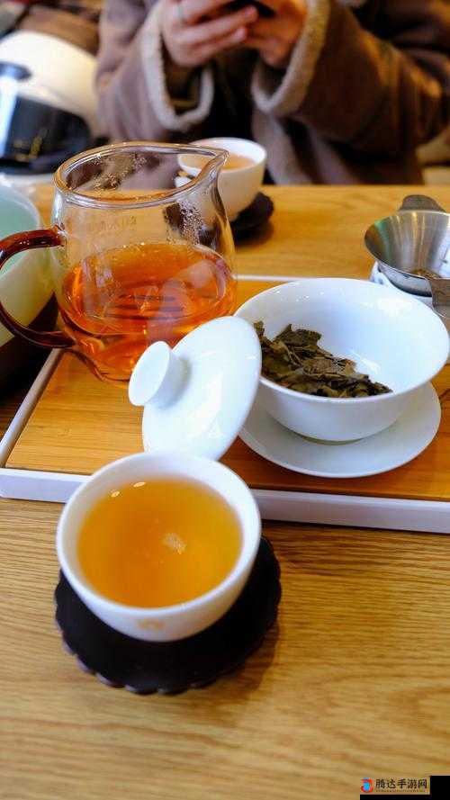 51 品茶最新：品味生活，畅享茶香