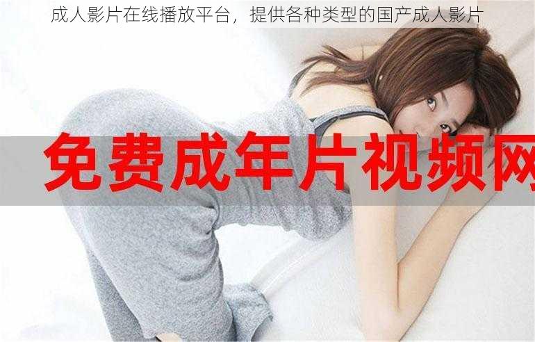 成人影片在线播放平台,提供各种类型的国产成人影片