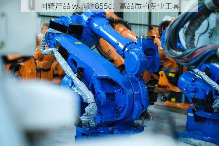 国精产品 w灬1h855c：高品质的专业工具