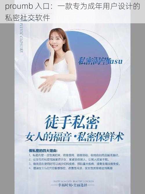 proumb 入口:一款专为成年用户设计的私密社交软件