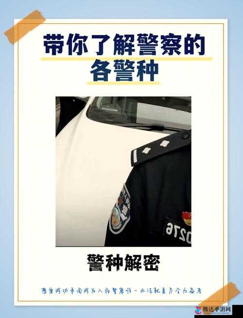 十二分钟高效审问**,提问顺序大揭秘
