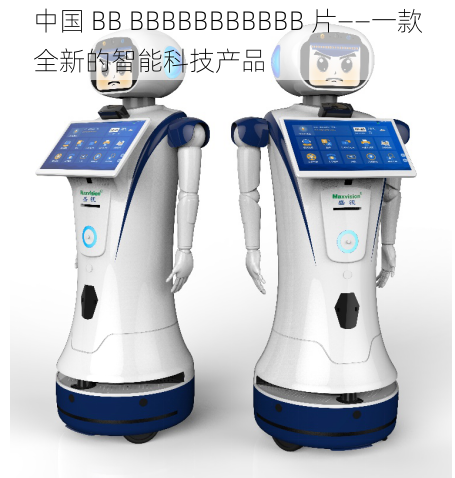 中国 BB BBBBBBBBBBB 片——一款全新的智能科技产品
