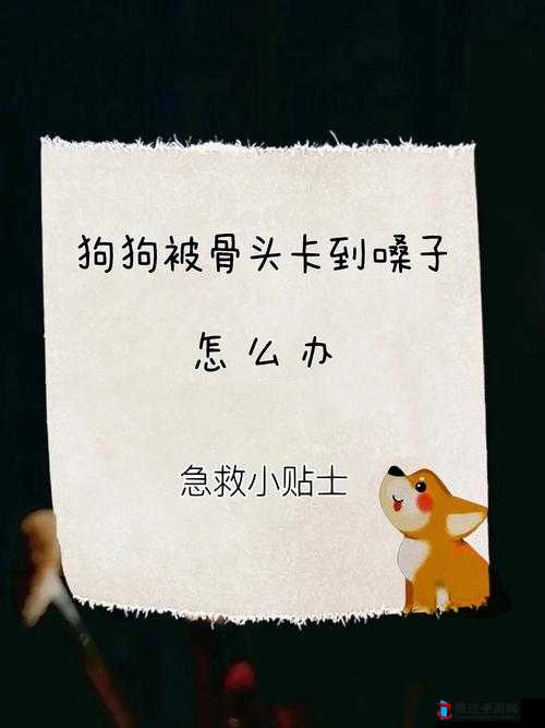 狗狗卡在体内多久能拉出来相关情况及应对措施探讨