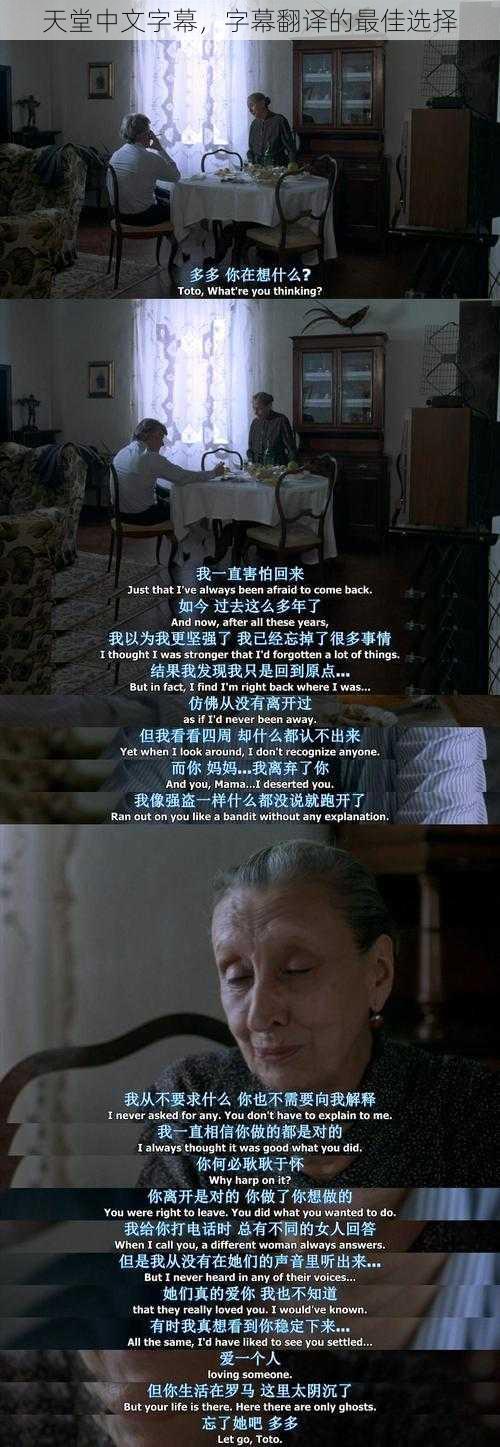 天堂中文字幕，字幕翻译的最佳选择