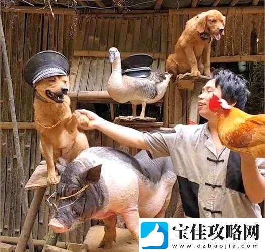 人与畜禽corporation-的发展内置超强音效：独特魅力