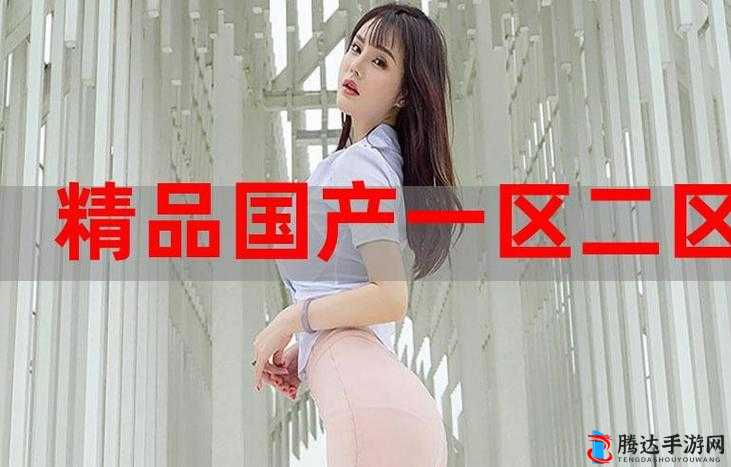 国精产品 999 永久中国有限:引领行业新高度