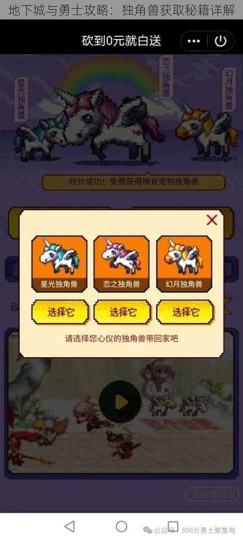 地下城与勇士攻略：独角兽获取秘籍详解