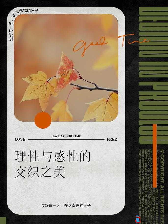 夫妻情感:感性与理性的交织