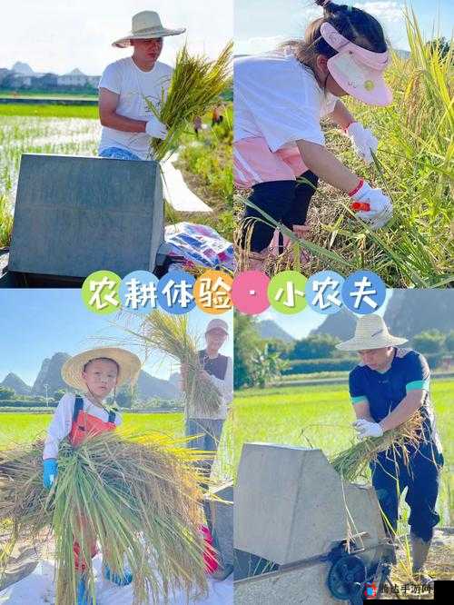 耕种姐姐肥沃的土地:开启一段神秘而独特的农耕之旅