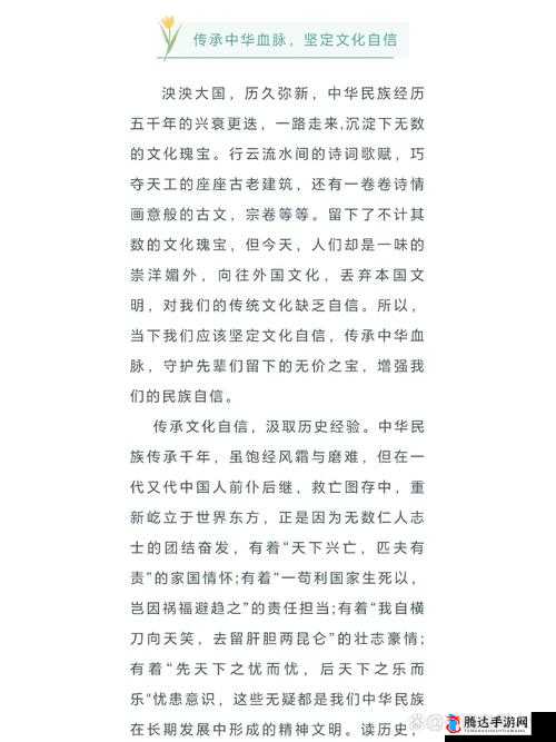 国精产品 9AA：传承中华文化的精髓