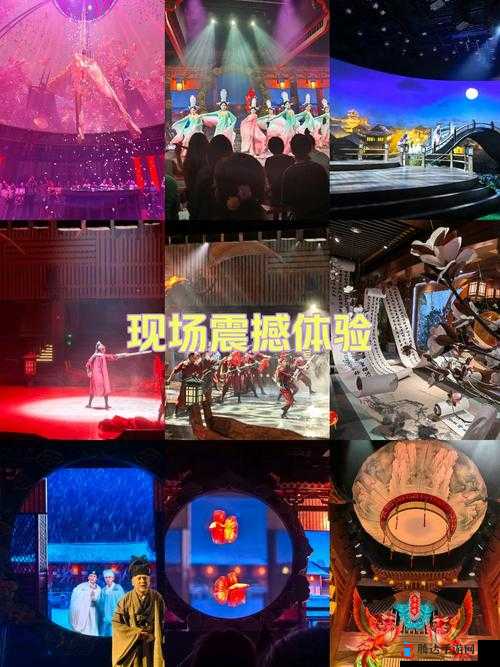 三门同开的震撼体验：前所未有的感觉等你来探索