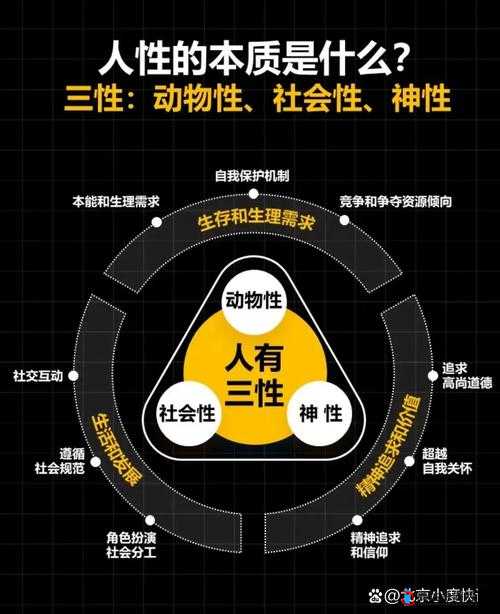 人性理论与 XY 理论的关系探讨及应用分析