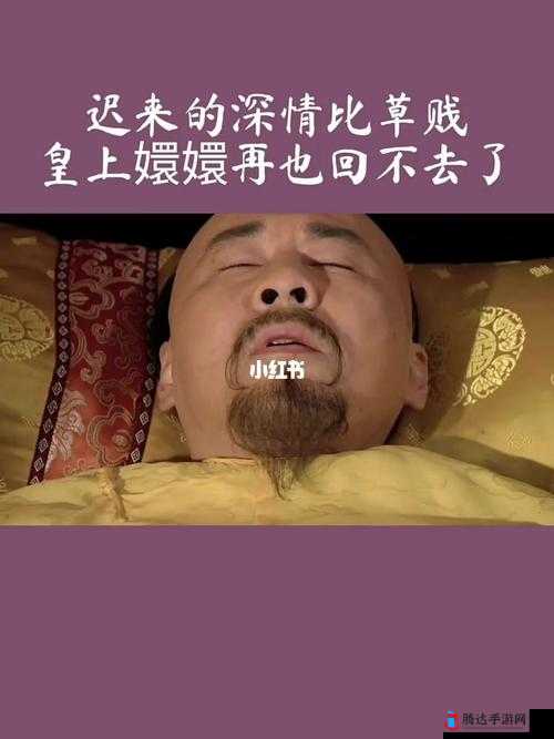 皇上疼爱的深情与热烈之极致呈现