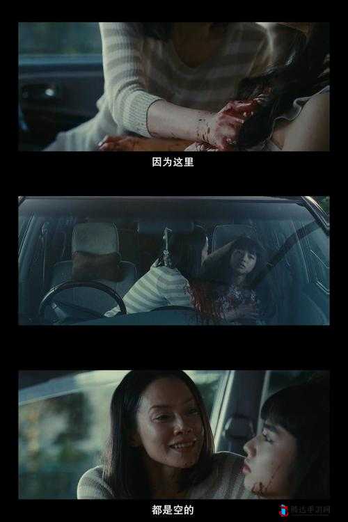最好看免费观看高清电影大全:满足您的观影渴望