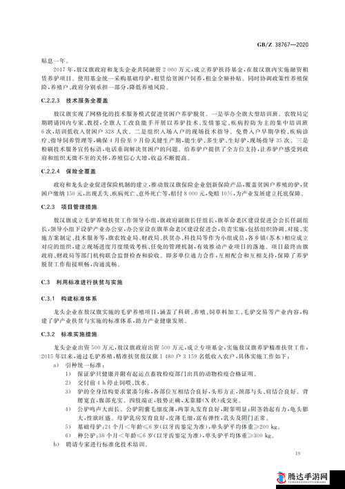 17.c起草:为重要项目文件提供精准规范的起始框架