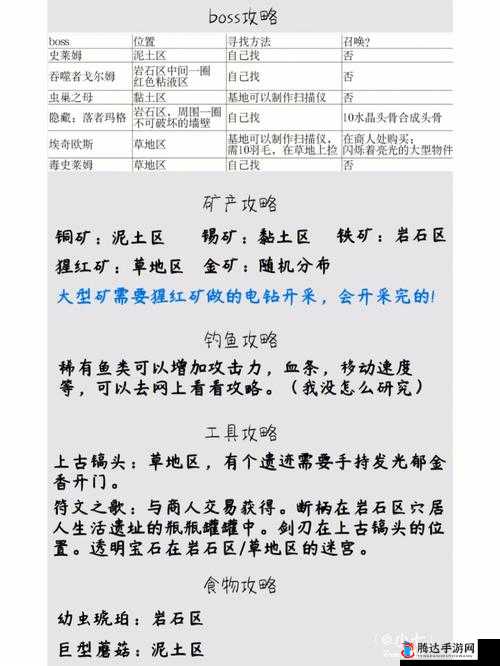 地心护核者游戏中文显示设置指南，详细步骤教你如何设置为简体中文